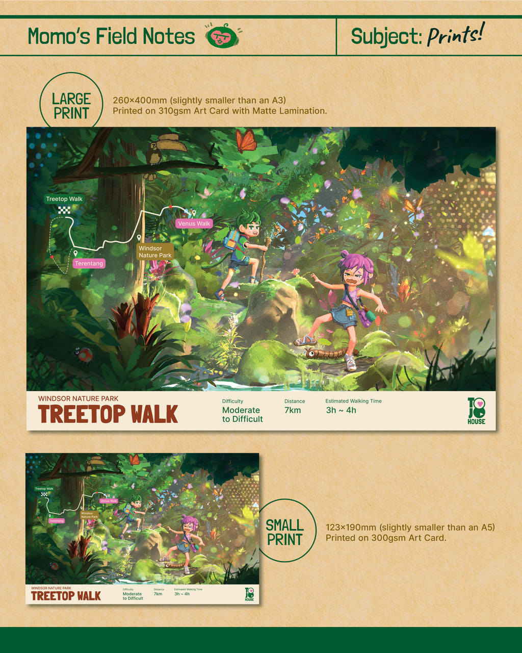 TreeTop Walk Print (Large & Small)