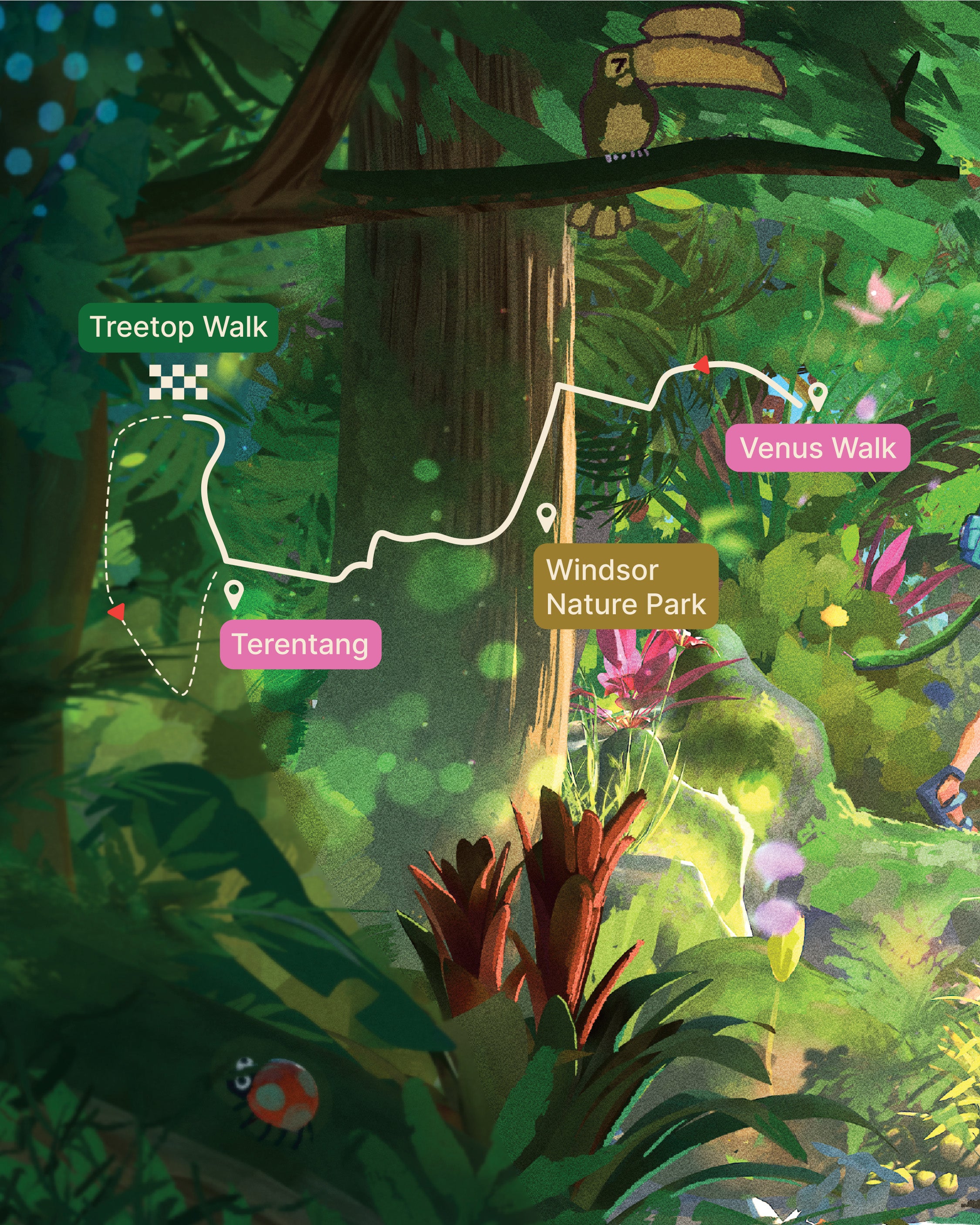 TreeTop Walk Print (Large & Small)